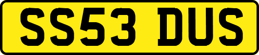 SS53DUS
