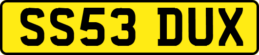 SS53DUX