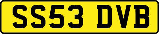SS53DVB