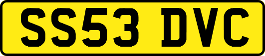 SS53DVC