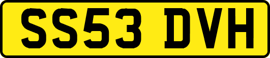 SS53DVH