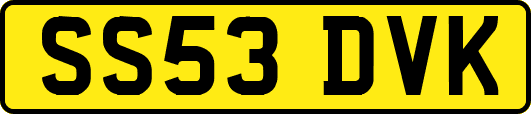 SS53DVK
