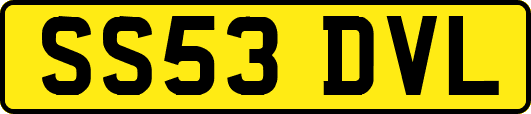SS53DVL