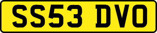 SS53DVO