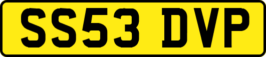 SS53DVP
