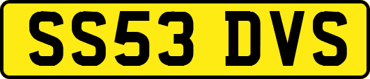 SS53DVS