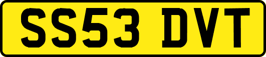 SS53DVT