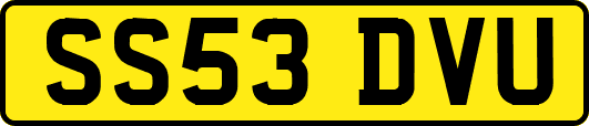 SS53DVU