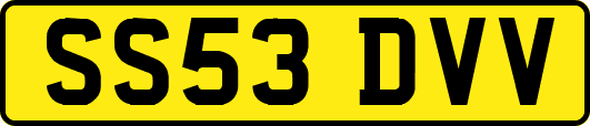 SS53DVV