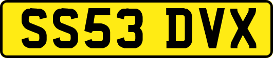 SS53DVX
