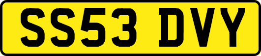 SS53DVY
