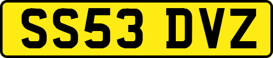 SS53DVZ