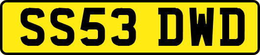 SS53DWD