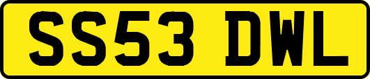 SS53DWL