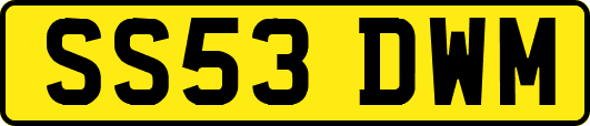 SS53DWM