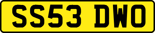 SS53DWO