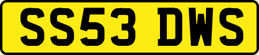 SS53DWS