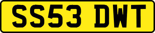 SS53DWT