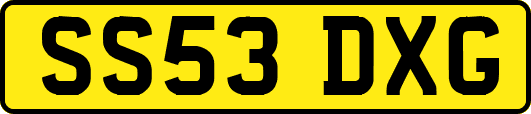 SS53DXG