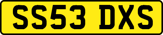 SS53DXS