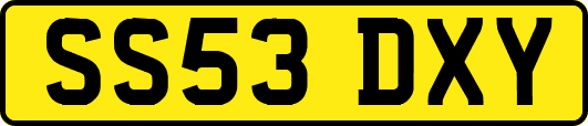 SS53DXY