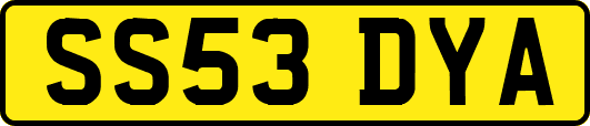SS53DYA