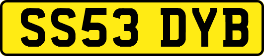 SS53DYB