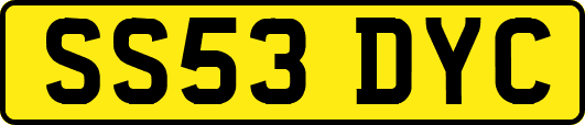SS53DYC