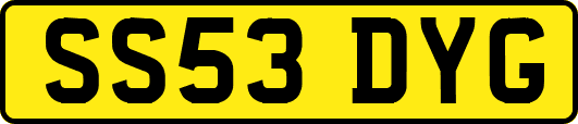 SS53DYG