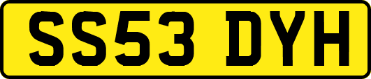 SS53DYH