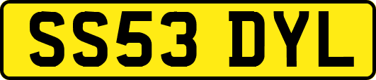 SS53DYL