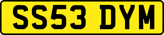 SS53DYM