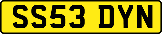 SS53DYN