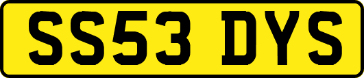 SS53DYS