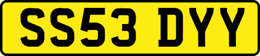 SS53DYY