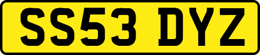 SS53DYZ