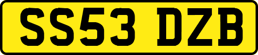 SS53DZB