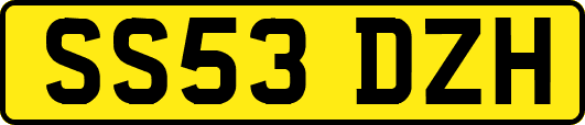 SS53DZH