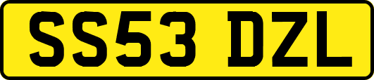 SS53DZL