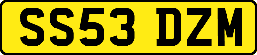 SS53DZM