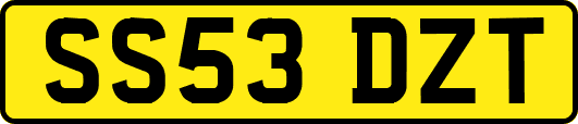 SS53DZT