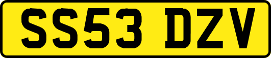 SS53DZV