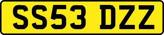 SS53DZZ