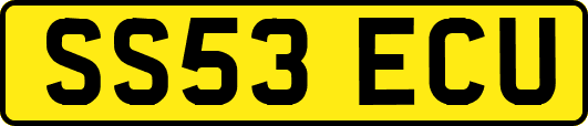SS53ECU