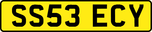 SS53ECY