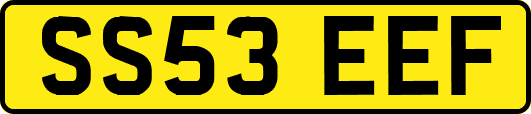 SS53EEF