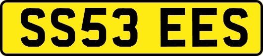 SS53EES