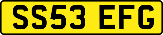 SS53EFG