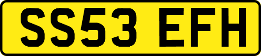 SS53EFH