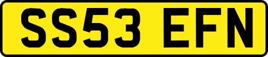 SS53EFN